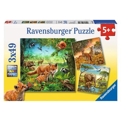 Spiel 8829.0